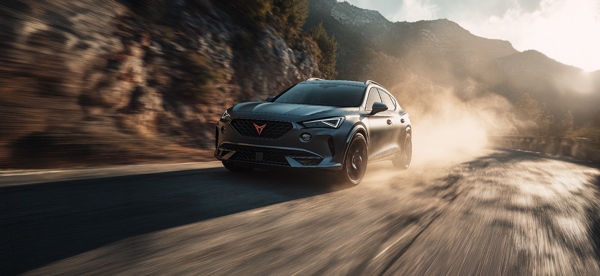 Chip Tuning for your CupraUp to 30% more HP and NM